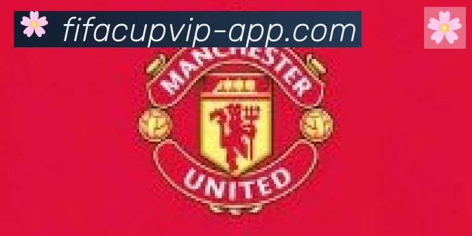 FIFA世界杯APP下载合作伙伴